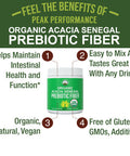 Organic Acacia Senegal Prebiotic Fiber Powder. Usda Organic Plant Based Vegan Prebiotics Supplement For Gut Health. With Digestiv