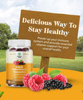 Immunity Sambucus Elderberry Gummies for Adults - Halal Black Elderberry Gummy Metabolism Booster with Zinc and Vitamin C - Anti Aging Super Antioxidant Supplement Immunity Gummies for Joint Support