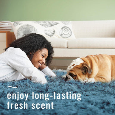 Febreze Odor-Fighting Fabric Refresher Pet Odor Fight 14.8 Fl Oz
