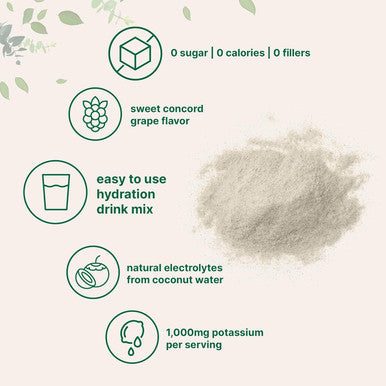 Micro Ingredients Hydration Electrolyte Powder 2lbs (139 Servings) | Keto & No Sugar High Potassium (1000mg) with Sweet Concord Grape Flavor & Natural Coconut Water | Non-GMO
