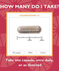 Celebrate Vitamins Celebrateone 45, 45Mg Iron - Once Daily Bariatric Multivitamin, Essential Vitamins & Minerals - Gastric Bypass & Sleeve Gastrectomy Supplement (90 Capsules)