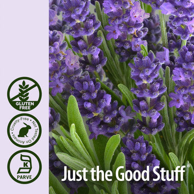 Nature'S Answer Lavender Flower with Organic Alcohol 1-Fluid Ounce | Supports Digestive System | Gluten- | Vegan | No Artificial Flowers or Preservatives | Single Count