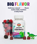 KAL Jurassic Elderberry Kids Gummies | Healthy Immune Support | USDA Organic, Vegan, Gluten | 30 Serv, 60 Ct