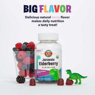 KAL Jurassic Elderberry Kids Gummies | Healthy Immune Support | USDA Organic, Vegan, Gluten | 30 Serv, 60 Ct