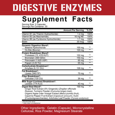 Rich Piana 5% Nutrition Digestive Defender | Probio-75 & Digestive Enzymes Digestion Supplement | Premium Quality Digestive Enzymes with Probiotics and Prebiotic Fiber | 120 Gelatin Capsules (30 Svgs)
