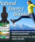 Nature'S Answer Codonopsis Root Organic Alcohol 1 Fluid Ounce | Immune Support | Natural Energy Booster