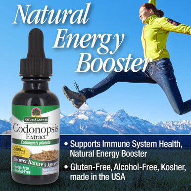 Nature'S Answer Codonopsis Root Organic Alcohol 1 Fluid Ounce | Immune Support | Natural Energy Booster