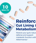 NewRhythm Akkermansia Muciniphila Probiotic 10 Billion TFU Pasteurized Maximum Stability Green Tea Leaf EGCG GLP-1 Production Metabolic Health Gut Immunity for Women & Men 60 Caps