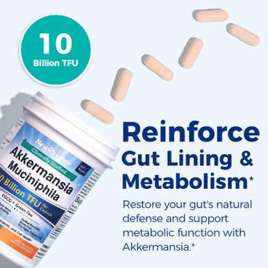 NewRhythm Akkermansia Muciniphila Probiotic 10 Billion TFU Pasteurized Maximum Stability Green Tea Leaf EGCG GLP-1 Production Metabolic Health Gut Immunity for Women & Men 60 Caps