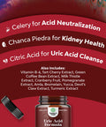 Herbal Uric Acid Cleanse and Detox - Essential Daily Kidney Cleanse and Uric Acid Support for Adults - Joint Support Supplement and Detox Cleanse with Tart Cherry Extract Capsules for Men and Women