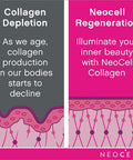 Neocell Super Collagen 198G