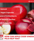 Apple Cider Vinegar Capsules with Prebiotics (1500 mg) - Antioxidant, Digestion, Fiber Supplement | Made in Canada