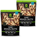 NUT CRAVINGS - Raw Brazil Nuts, Unsalted, No Shell, Whole, (16oz - 1 LB) Packed Fresh in Resealable Bag - Kosher Healthy Snack, Food Assortments