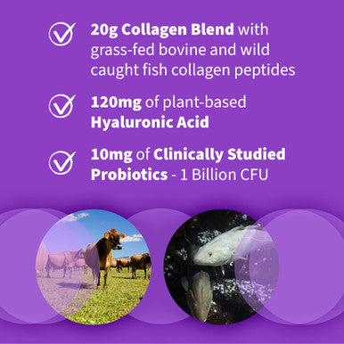 Garden of Life Marine & Grass-Fed Collagen Peptides Powder Supplement (Type I Iii) With Probiotics Bcaas & Hyaluronic Acid For Radiant Hair Skin & Nails Unflavored 20G Per Serving 12 Servings