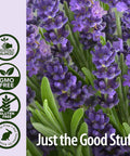 Nature's Answer Esstl Oil Organic Lavender 0.5 oz