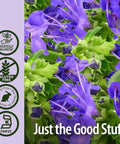Nature'S Answer Hyssop Herb Supplement with Organic Alcohol 1-Fluid Ounce | Promotes Overall Wellness | Calming Aid | Natural Stress Reliever