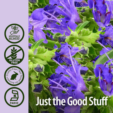 Nature'S Answer Hyssop Herb Supplement with Organic Alcohol 1-Fluid Ounce | Promotes Overall Wellness | Calming Aid | Natural Stress Reliever