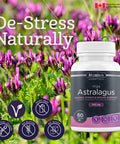 Maxion Astragalus 500mg to Help Increase Energy and Resistance to Stress, 60 Capsules