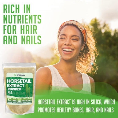 Xprs Nutra Organic Nettle Leaf Powder with Horsetail Extract Bundle (Each 16 Ounces)