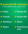 Country Life Coenzyme B-Complex Vitamin Support Energy And Metabolism Daily Supplement 240 Ct