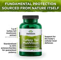 Swanson Turkey Tail Mushroom - Herbal Supplement - Natural Formula - (120 Capsules 500 mg)
