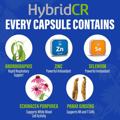 Hybridcr Rapid Immune Support Supplement Pharmacist Formulated Natural Herbal Formula To Immunity Boost Response Gluten-Natural Cold Remedy 12 Capsules In 4 Day Dose Pack