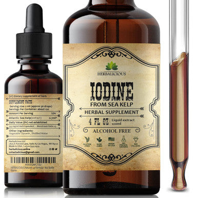 HERBALICIOUS Natural Iodine Extract - Sea Kelp - Drops For Thyroid Function Support, Digestion, Energy Boost - Liquid Dietary Supplement - Vegetarian-Friendly Formula - 4Oz Bottle