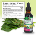 Nature'S Answer Yellow Dock Root Extract with Organic Alcohol 2-Fluid Ounces | Promotes a Healthy Liver | Digestive Support | Natural Detox