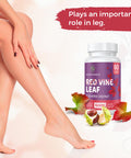 SUSTAINANCE Red Vine Leaf Extract 1400Mg & Horse Chestnut Extract 100Mg Supplement Diet For Leg Vein Circulation Heart Skin (60 Capsules)