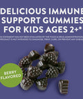 Nature'S Way Sambucus Elderberry Immune Gummies For Kids, Immune Support Gummies*, With Black Elderberry Extract, Vitamin C And Zinc, 60 Gummies (Packaging May Vary)