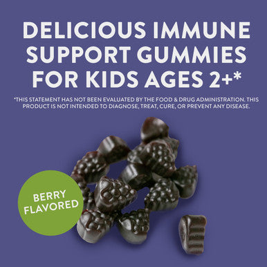 Nature'S Way Sambucus Elderberry Immune Gummies For Kids, Immune Support Gummies*, With Black Elderberry Extract, Vitamin C And Zinc, 60 Gummies (Packaging May Vary)