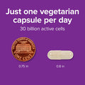 Webber Naturals High Potency 30 Billion CFU Probiotics for Men Women and Adults Shelf Stable no Refrigeration Required 8 Probiotic Strains 30 Vegetarian Capsules for Digestive Health