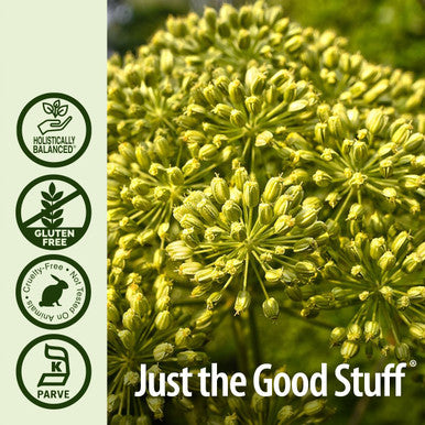Nature's Answer Celery Seed 30ml