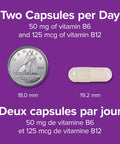 Webber Naturals Vitamin B6 B12 and Folic Acid Tablets 90 Count