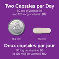 Webber Naturals Vitamin B6 B12 and Folic Acid Tablets 90 Count