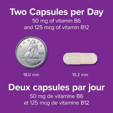 Webber Naturals Vitamin B6 B12 and Folic Acid Tablets 90 Count
