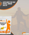Bulksupplements.Com Mullein Leaf Extract - Verbascum Thapsus, Mullein Supplement - Herbal Supplement For Immune Support, Pack Of 1 - Gluten Free, 1000Mg Per Serving, 250G (8.8 Oz)