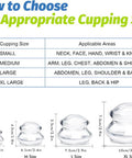 Elera Silicone Cupping Therapy Set, Professionally Chinese Massage Cups For Cupping Therapy And Cellulite Reduction (7 Cups)