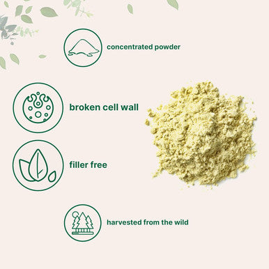 Micro Ingredients Pure Pine Pollen Powder 6 Ounce Wild Harvest an Broken Cell Wall Supports Immune System Health Boosts Energy Antioxidant & Androgenic No GMOs Vegan Friendly