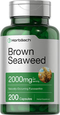 HorbÃƒÆ’Ã†â€™Ãƒâ€ Ã¢â‚¬â„¢ÃƒÆ’Ã¢â‚¬ ÃƒÂ¢Ã¢â€šÂ¬Ã¢â€žÂ¢ÃƒÆ’Ã†â€™ÃƒÂ¢Ã¢â€šÂ¬Ã…Â¡ÃƒÆ’Ã¢â‚¬Å¡Ãƒâ€šÃ‚Â¤ach Brown Seaweed Extract Capsules 2000mg 200 Pills Fucoxanthin Supplement Non GMO Gluten Free by Horbaach