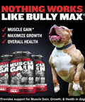 Bully Max 2-in-1 Muscle Builder Chewable Tablets for Puppies & Adult Dogs for All Breeds & Ages 60 Tabs