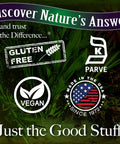 Nature's Answer Dong Quai Root Herb Supplement Vegetarian Capsules 90 Capsules