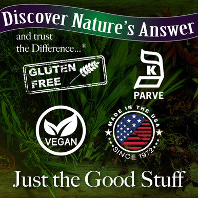 Nature's Answer Dong Quai Root Herb Supplement Vegetarian Capsules 90 Capsules