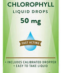 Vegan Chlorophyll Liquid Drops | 50mg | 2 Fl Oz | Non-GMO & Gluten Supplement | Plant-Based Support | Natural Mint Flavor | by Nature's Truth