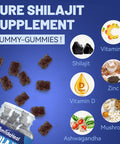 Shilajit Gummies 1000 Mg, Organic Shilajit Supplement, 85+ Trace Minerals, With Ashwagandha, Mushroom - Energy, Brain, Immunity Support, For Men & Women - 120 Count