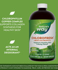 Nature'S Way Chlorofresh, Liquid Chlorophyll, Supports Healthy Skin & Body Detox*, Internal Deodorant*, Mint Flavored, 16 Fl. Oz (Packaging May Vary)