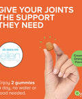 Turmeric Gummies Qunol Gummy with 500mg Turmeric Curcumin Joint Support Supplement Ultra High Absorption Tumeric Curcumin Vegan Gluten Free 2 Month Supply 60 Count Pack of 2