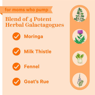 Pink Stork Pumping Moms Lactation Supplement - Support Breast Milk Supply and Flow with Goat's Rue Milk Thistle and Moringa Fenugreek- Breastfeeding Essentials for Moms - 60 Capsules