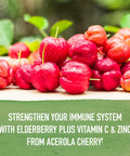 Garden of Life Organics Elderberry Zinc Immune Support For Adults And Kids 12 And Older Organic Cough & Mucus Immune Syrup With Ivy Leaf Vitamin C And EUSAcea No Added Sugars 5 Fl Oz