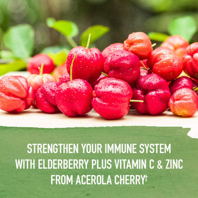 Garden of Life Organics Elderberry Zinc Immune Support For Adults And Kids 12 And Older Organic Cough & Mucus Immune Syrup With Ivy Leaf Vitamin C And EUSAcea No Added Sugars 5 Fl Oz